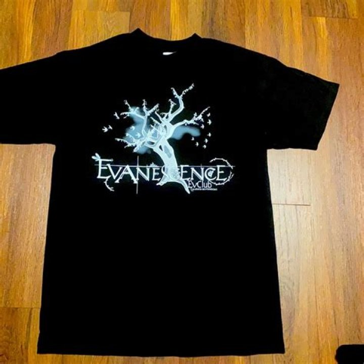 Bootleg Shirt Sellers Busted At Evanescence Concert